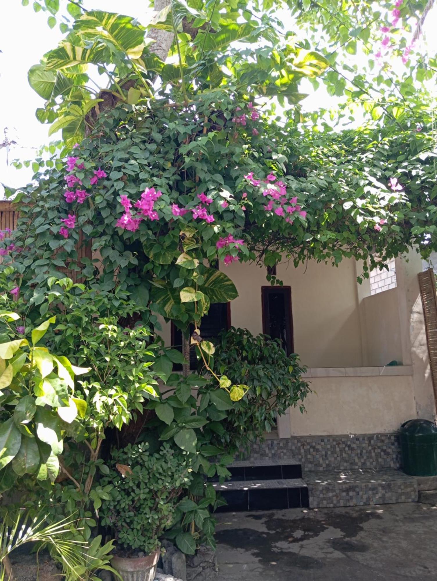 פראיה Pedek Homestay מראה חיצוני תמונה